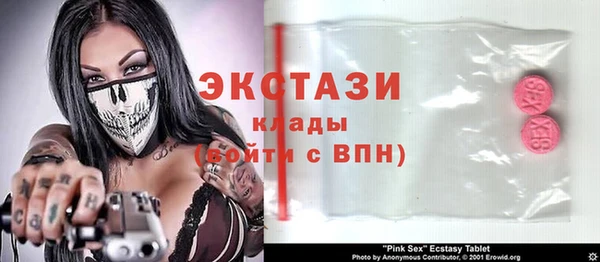 индика Алексин
