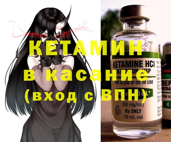 индика Алексин