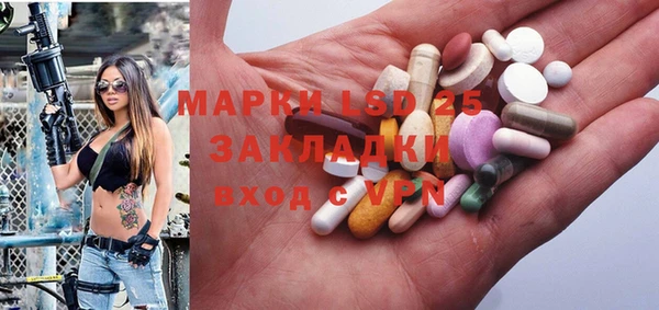индика Алексин