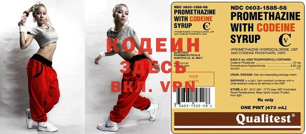 индика Алексин