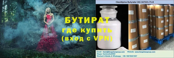 индика Алексин