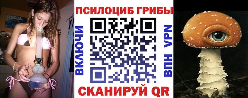 где можно купить наркотик  Петушки  shop какой сайт  Галлюциногенные грибы прущие грибы 